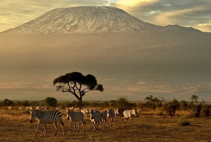 3 Day Short Safari in Amboseli National Park, Kenya